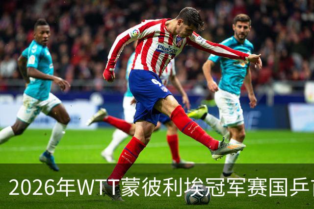 2026年WTT蒙彼利埃冠军赛国乒首轮赛况分析
